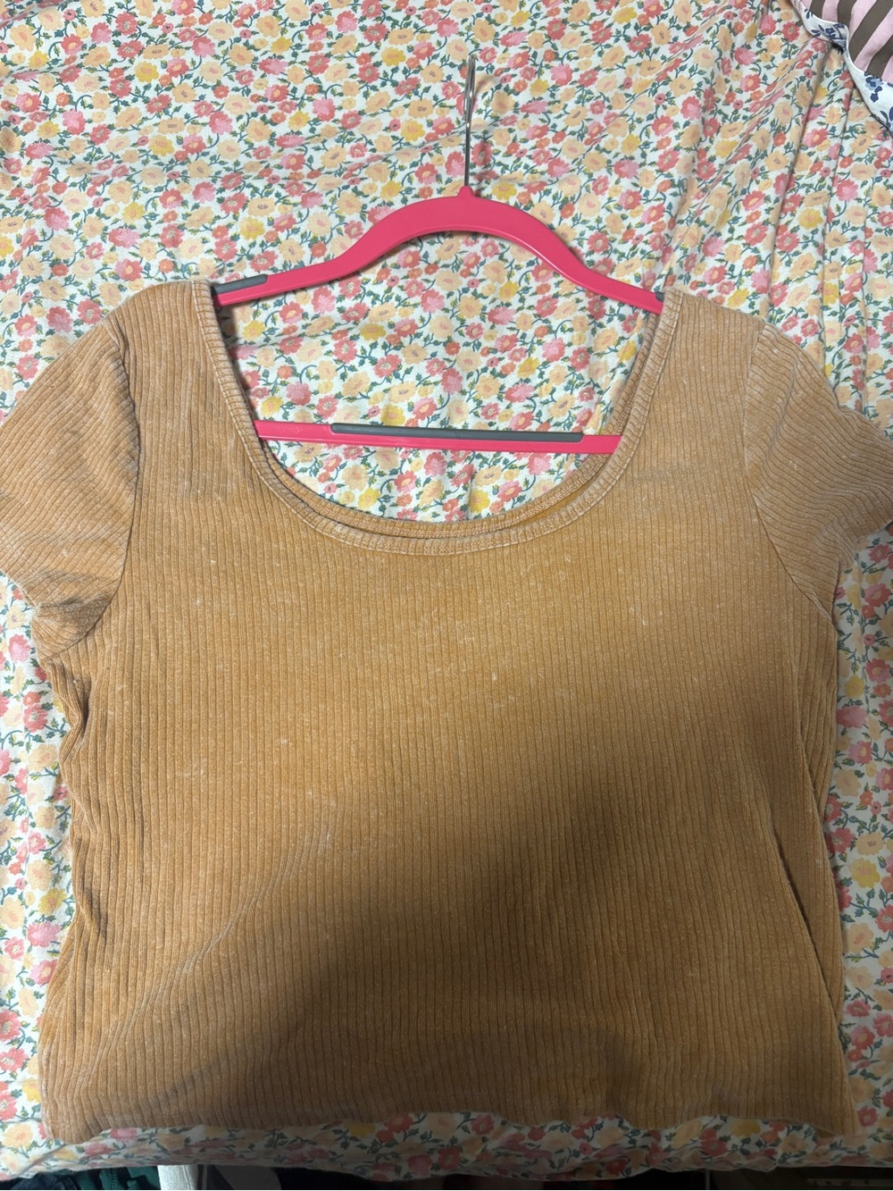 Women's Ribbed Scoop Neck Top in Mustard